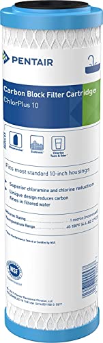 Cartucho cloramina Pentair ChlorPlus-10 de 1 micra para agua limpia