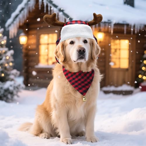 Disfraz de Navidad para perro con cuernos de reno y bufanda roja miniatura 6