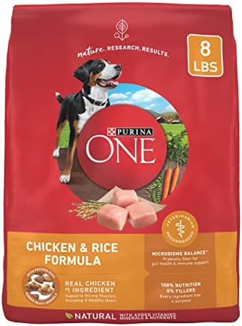 Purina ONE Chicken and Rice Formula Dry Dog Food - 8 lb. Bag