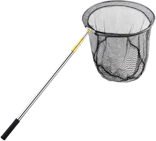 Borine  ʖ fBOlbg ނ  ^ Ƃ XeX| v  ނpi Lk ܏ gݗĊȒP AEghA gѕ֗ HƗp Ǒ O jp (3m,A)