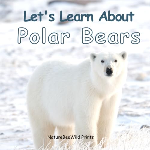 Let'S Learn About Polar Bears (Let'S Learn About Animals)