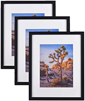 Black 20”x24” Photo Frames matted to 16”x20” Photos, Polystyrene Glass for Wall Hanging (3 sets)