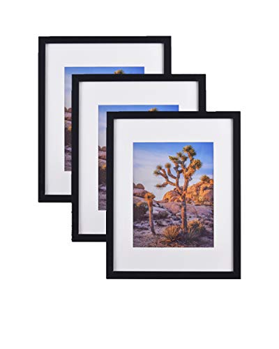 Black 20”X24” Photo Frames Matted To 16”X20” Photos, Polystyrene Glass For Wall Hanging (3 Sets) #TOP12