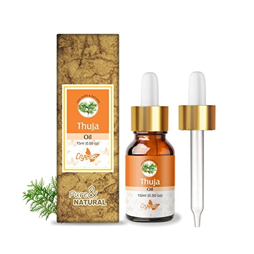 Image of Crysalis Thuja (Thuja Occidentalis L.) Oil |100% Pure & Natural Undiluted Essential Oil Organic Standard Thuja Oil, Improves Body Ache, Improve Skin Breakouts, Soothes Dry Skin- 15ml