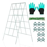 GOLETIO Cucumber Trellis - A Frame Trellis for Raised Bed Climbing Plants, Vegetables. Includes Plant Support Clips, Gardening Gloves, Cable Ties - Made from Galvanized Steel - Weather-Resistant