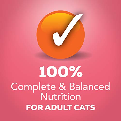 Purina Friskies Gravy Pate Wet Cat Food, Extra Gravy Pate With Salmon In Savory Gravy - (24) 5.5 Oz. Cans #TOP3