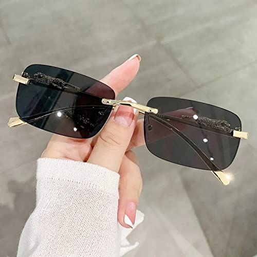 Image of Dervin Leopard Decorated Arms Rimless Rectangle Sunglasses for Men and Women