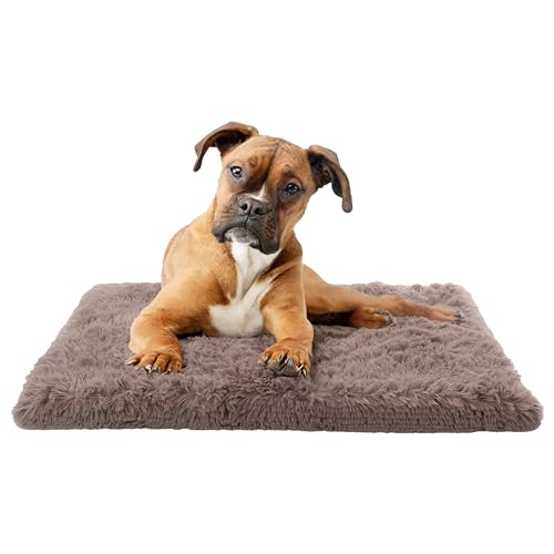 Paco Home Hundebett Katzenbett Flauschig Hundekissen Donut Hundedecke Hund Katze Hundekörbchen Katzenkorb Waschbar, Farbe:Beige, Größe:50x80 cm