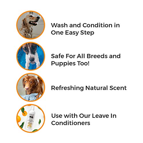 Barklogic Sensitive Skin Moisturizing Shampoo, Tangerine, 16 Fl Oz -No Parabens, No Phthalates, No Sulfates, No Dea & Peg - W/Omega 3 And Vitamin E To Soothe Dry Skin - Naturally Derived, Vegan #TOP5