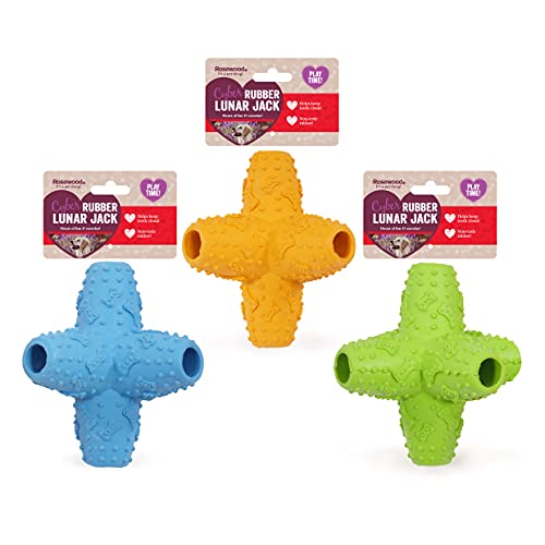 Rosewood Lunar Jack Hundespielzeug aus Gummi, robust, kaufest, mittelgroß