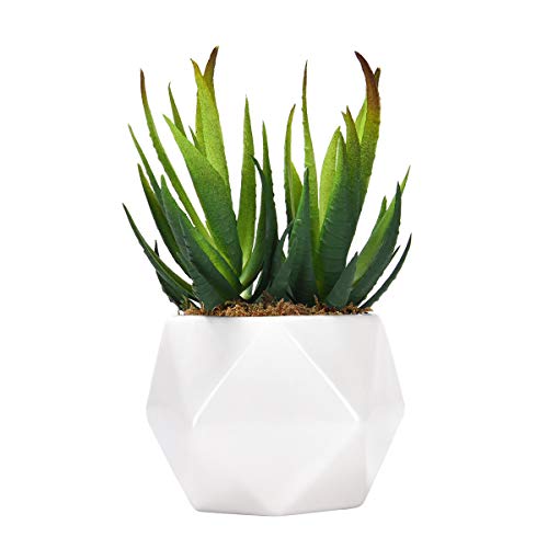 Best Artificial Plant For Table