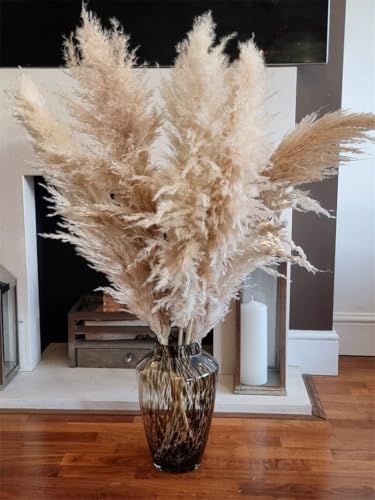 Pampas Grass Grande Beige Natural Hierba Decorativa 3pcs miniatura 3