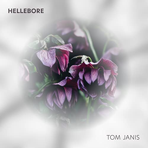  Hellebore