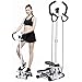 HYJBGGH Máquinas de Step Stepper Fitness Mini Stepper Aerobic con Asas Stepper Twister Ajustable Equipo De Ejercicio De Fitness para Uso En El Gimnasio En Casa (Color : Blanco)