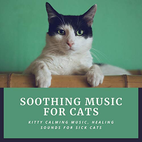 Amazon.com: Soothing Music for Cats – Kitty Calming Music, Healing ...