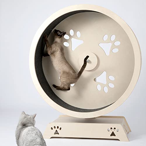 Tapis de course pour chat et petits animaux structure haut de gamme - 7