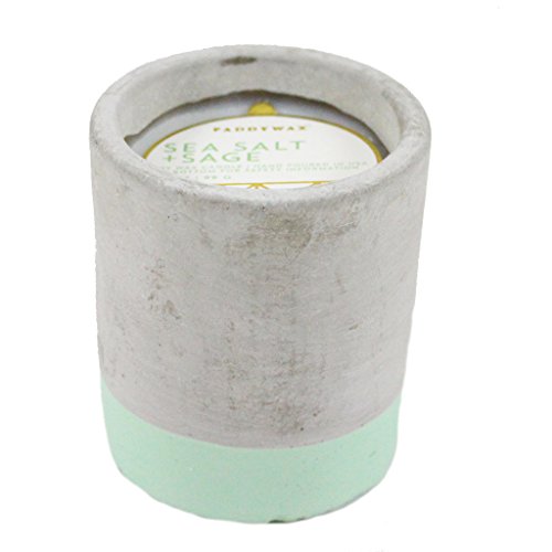 Paddywax Candles Urban Collection Soy Wax Blend Candle in Concrete Jar, Small- 3.5 Ounce, Sea Salt + Sage