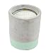 Paddywax Urban Collection Scented Soy Wax Candle, 3.5-Ounce, Sea Salt & Sage