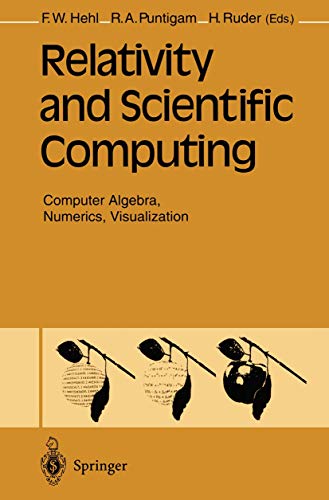 Relativity and Scientific Computing: Computer Algebra, Numerics, Visualization view 2