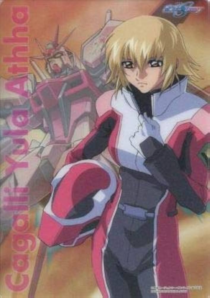 Amazon.co.jp: 機動戦士ガンダムSEED DESTINY クリアプレート