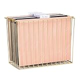 Calidad fiable: El organizador de archivos está hecho de metal resistente, que es duradero y resistente