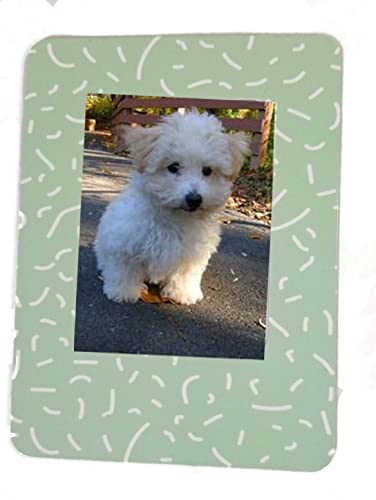 Cámaras Instantáneas Y Análogas, Camera Imagen adicional