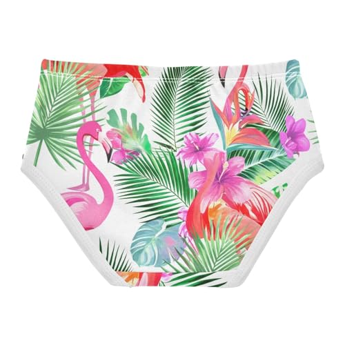Pattern Toddler Underwear Custom 2t Cotton Girl Panties Cute Tropical Pink Flamingos Hawaii Underpants Briefs2