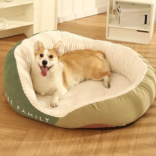 [Cm] ybgxbh ybg\t@ Lp pxbh Q ʔN^Cv NbVt  􂦂 _炩 ӂӂg ΍ ^ ^/Lp O[ ~ ۉh   ^ꂵȂ M 薰