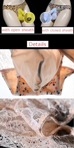 Men's Sexy Plus Size Ice Silk and Lace High Elastic Low Rise Panties Bikini Briefs Underwear with Sheath2
