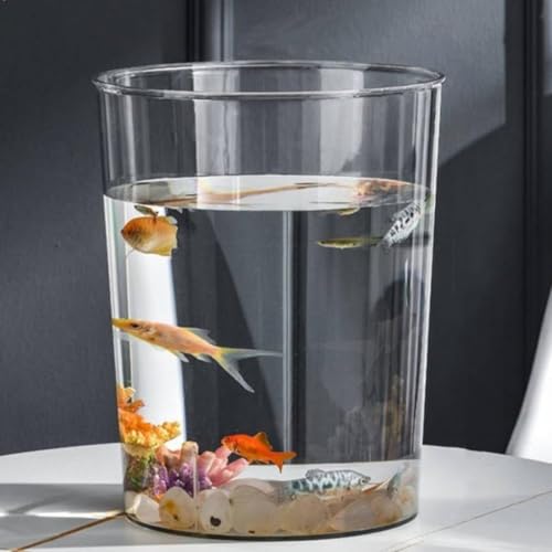    vX`bN eE AN ϗtA CeA e e[u ANAE {E | e  _J  CeA ԕr (~`)