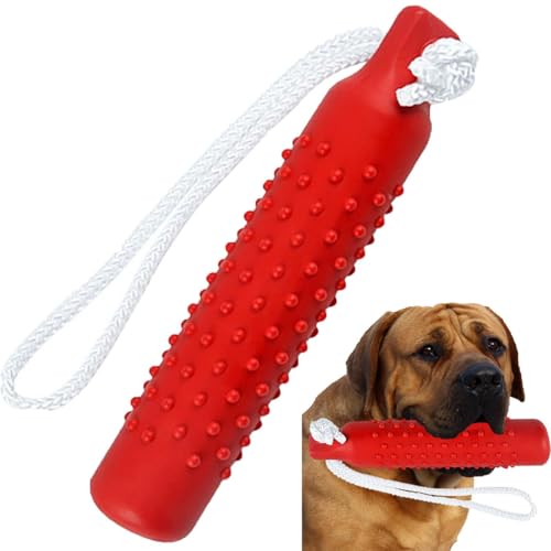 ̂AVRSAp݂AɕAVтg[jOɁBNƉ^