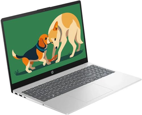Image of HP 15.6 inch Touchscreen HD IPS Laptop, Intel i3 Processor Up to 4.39GHz, 8GB DDR4 RAM, 256GB SSD, HDMI, Super-Fast 6th Gen WiFi, Windows 11, Renewed