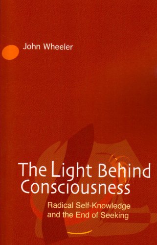 The Light Behind Consciousness view 2