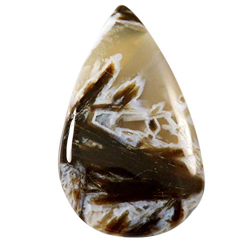 Gemme agate naturelle en forme de poire 25,25 cts, cabochon pour sertissage