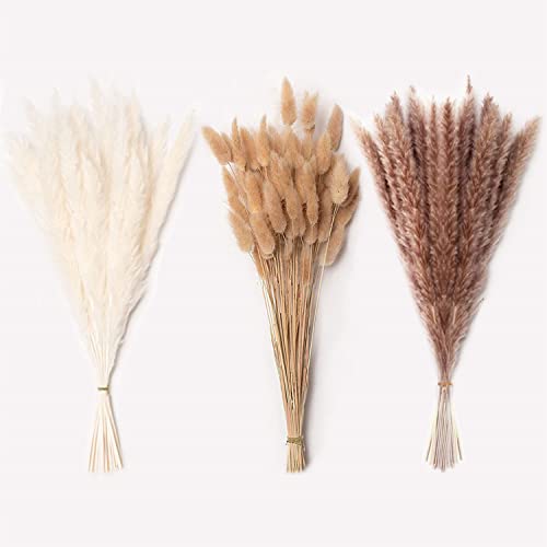 100 Pcs Dried Pampas Grass Decor - Pompass Grass Branches/ Dried Pompous Grass for Flower Arrangements Boho Decor(25 Pcs White Pampas Grass&25 Pcs Brown Pampas Grass&50 Pcs Dried Bunny Tails Flowers)