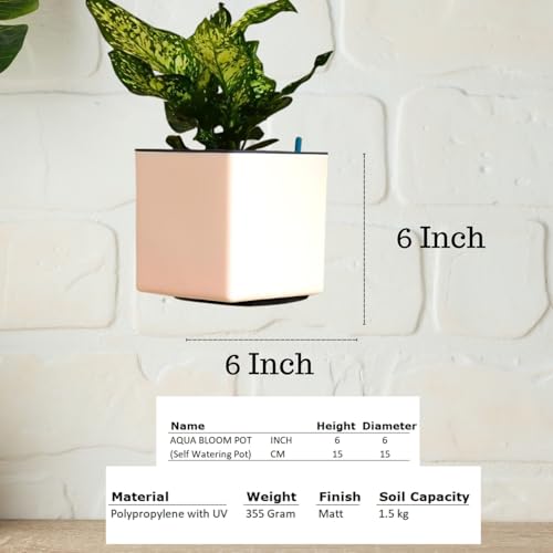 Image of Indian Discovery Self Watering Wall Hanging Planter|Hanging /Hooked Flower Pots for Home, Balcony, Vertical Garden Decor Flower Pots(1 PC, Peach, Square) |6 Inch UV-Resistant Plastic Plant Pots