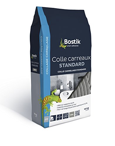 Colle Carrelage Standard C1T 10 kg