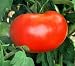 50 Big Boy Hybrid Tomato Seeds - My Secret Gardens