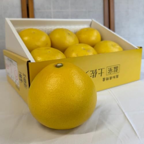 yϔzI yU 3s or 5s m U Ԃ񂽂 u^ e N r^~ C j Ǝ w җ Ê  P   S  c Ď S Mtg yY 蕨 p ƒp (5kg )