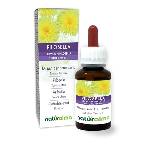 Habichtskraut (Hieracium pilosella) Kraut Alkoholfreier Urtinktur Naturalma - Flüssig-Extrakt Tropfen 60 ml - Nahrungsergänzungsmittel - Veganer