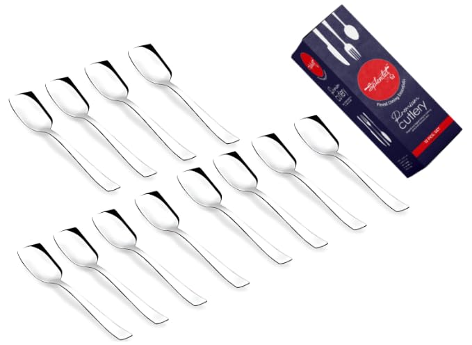Culinary Crafts Stainless Steel Set of 12 Ice Cream Spoons 13.5 cms (Heavy