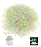 Vyqrx 6000 Stück Bunte Leuchtsteine 3-5mm, Fluoreszierender Deko Sand Aquarium Kies, Nachtleuchtende Glassteine für Garten Vasen Terrarien