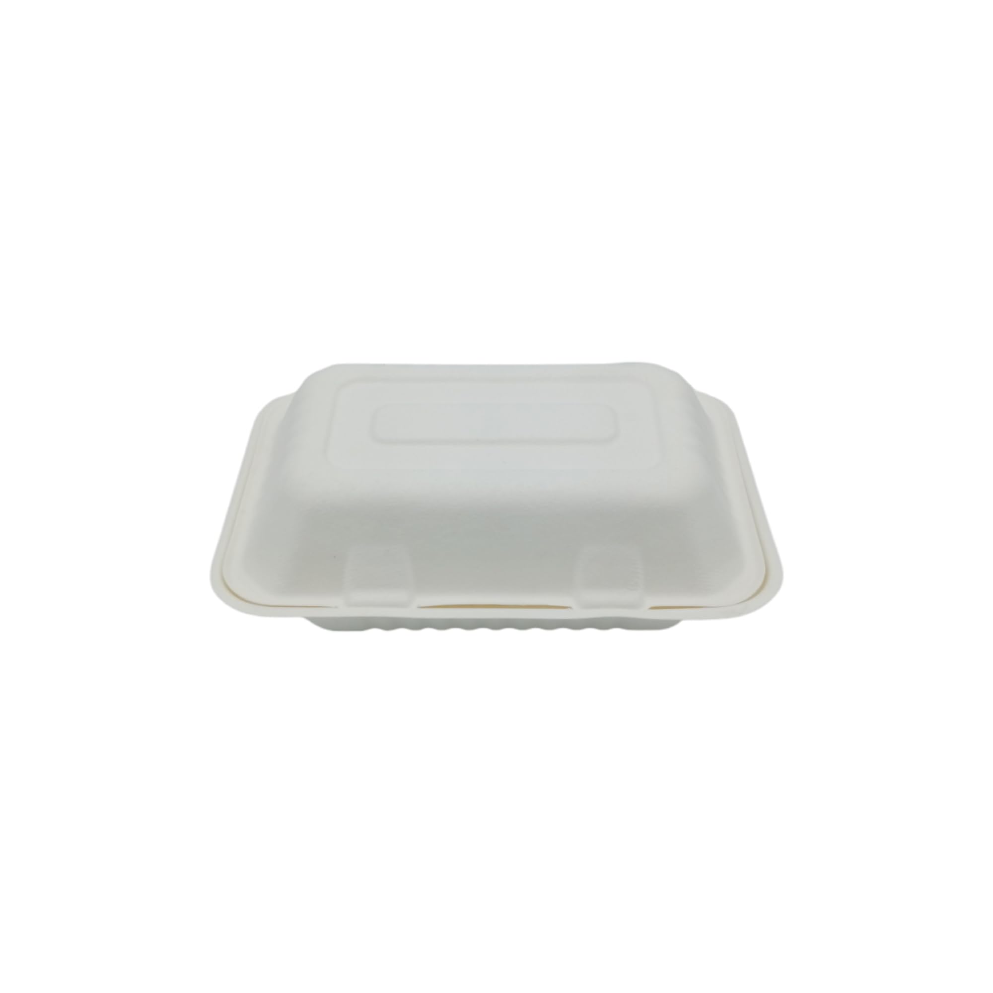 Générique 250 Boîtes à Sandwich Rectangulaires en Fibre de Canne 23x15,3x7,7 cm - Coques pour Burgers, Sandwichs, Paninis, Hot Dogs, Frites, Poulet Frit et Plus