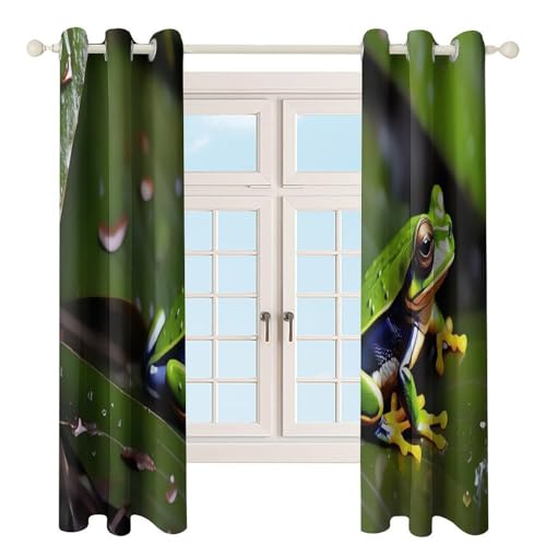 Rideaux occultants grenouille de la paix 132x182 cm pour salon et salle de bain - 5