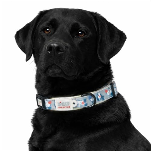 Image of Zigly Doodle Nylon Dog Collar for Small Dogs | Adjustable Durable Everyday Walking Collar | Soft & Comfortable Pet Collar for Daily Use | Grey | S | 16.1 x 0.5 Inch