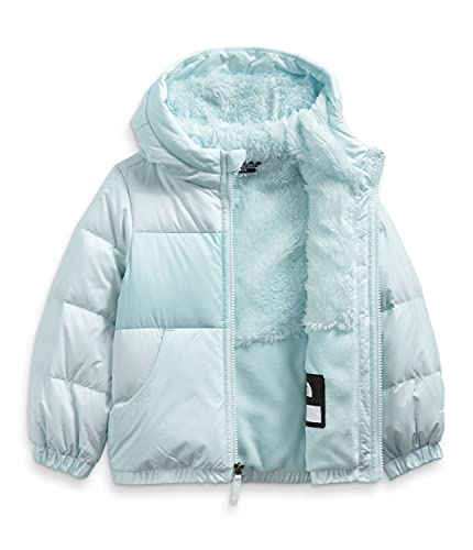 Image of The North Face Toddler Moondoggy Hoodie, Ice Blue, 2T