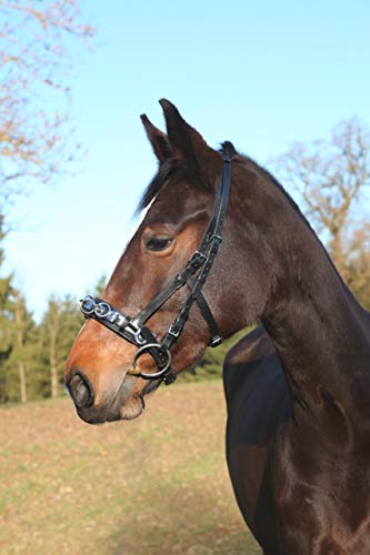 Kerbl Leder, Exklusiv VB, Incl. Gebissriemen Kappzaum, Schwarz, Vollblut