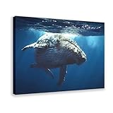Unterwasser-Blauwal-Poster, Leinwand, Poster, Schlafzimmer, 