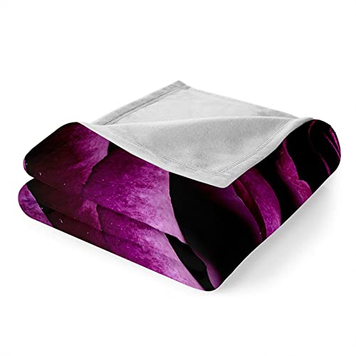 Plaid couverture polaire violet pour soirée cocooning canapé