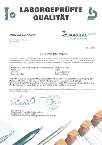 Glucosamin Chondroitin MSM + Vitamin C hochdosiert - 500 Tabletten für 4 Monate - laborgeprüft